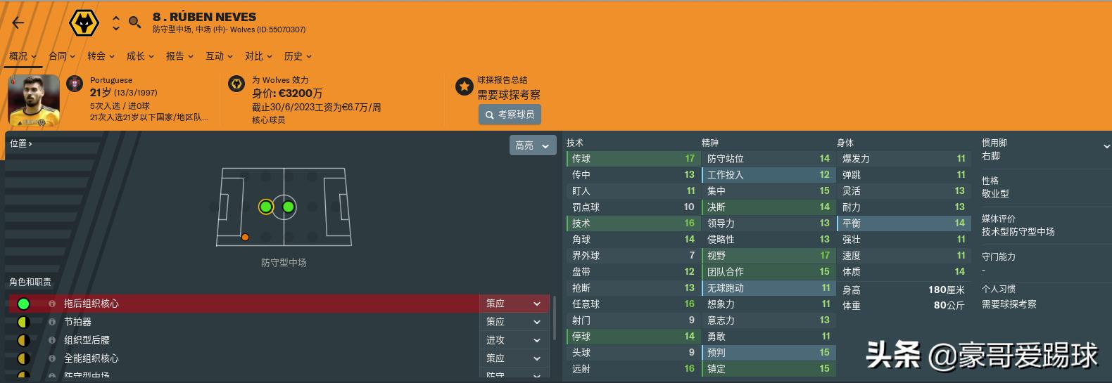 fm足球经理单赛季排行榜,fm足球经理历年妖人