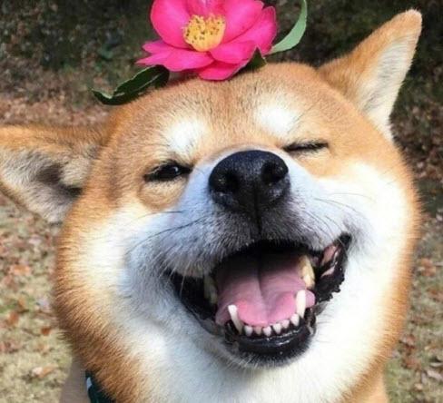 一定要拥有的几款香水,凭香味识人