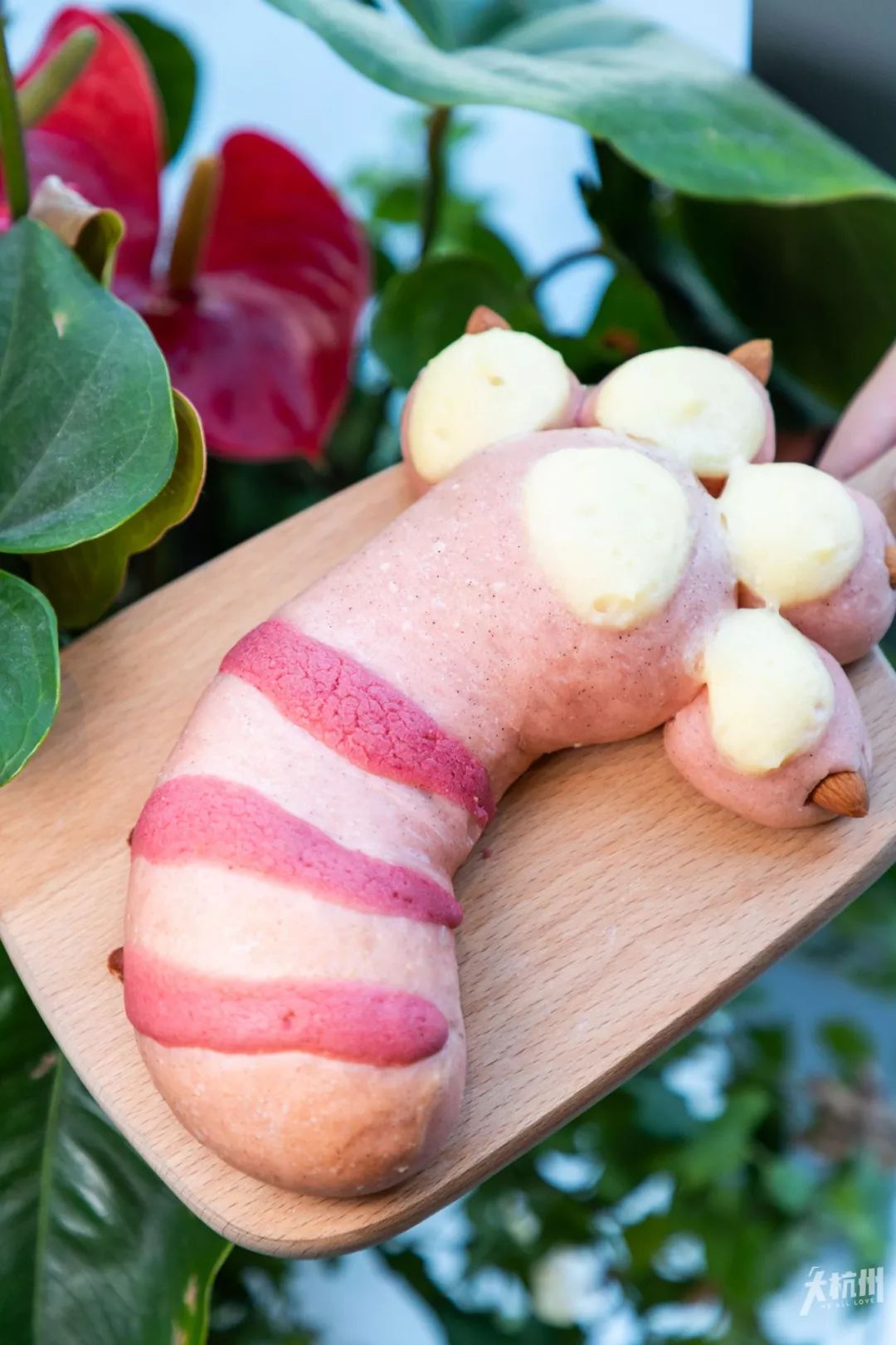 奈雪猫猫杯,奈雪猫杯