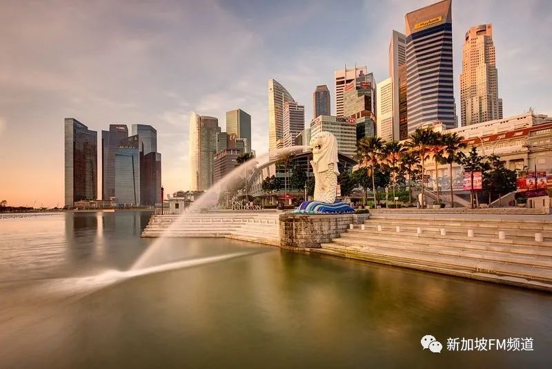 新加坡网红拍照店,新加坡网红点如何拍照