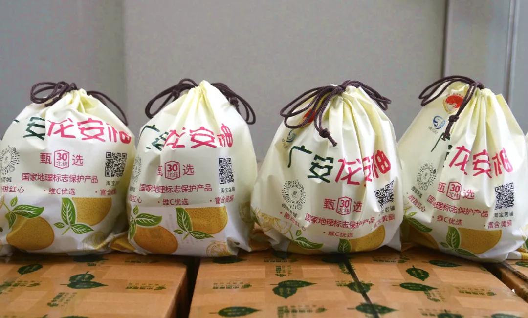 远销澳门！8000个龙安柚开启“新旅程”