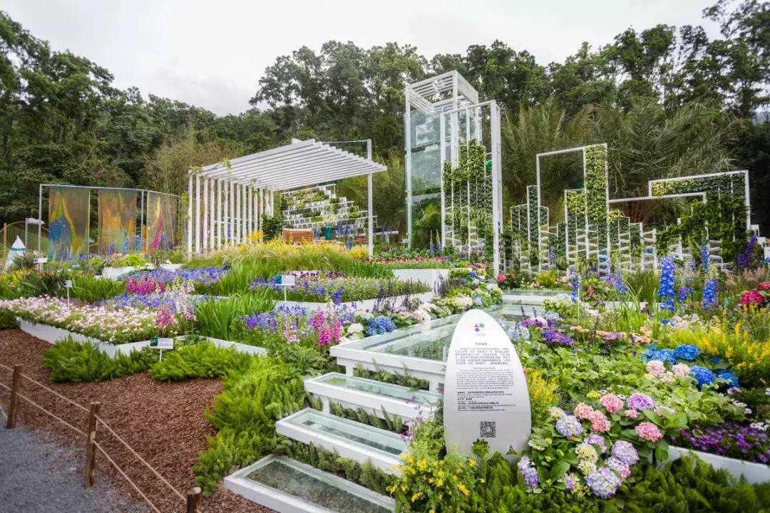 未来10天预警,深圳最最最最火的地方在这里,美女都赶来打卡