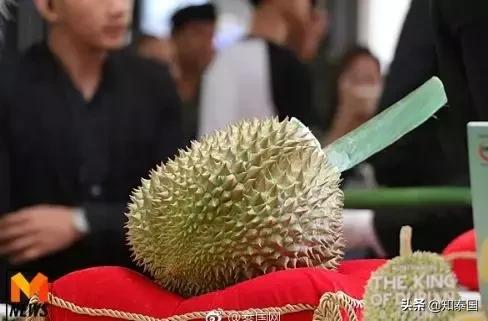 榴莲为啥价格相差那么多,为什么是天价榴莲