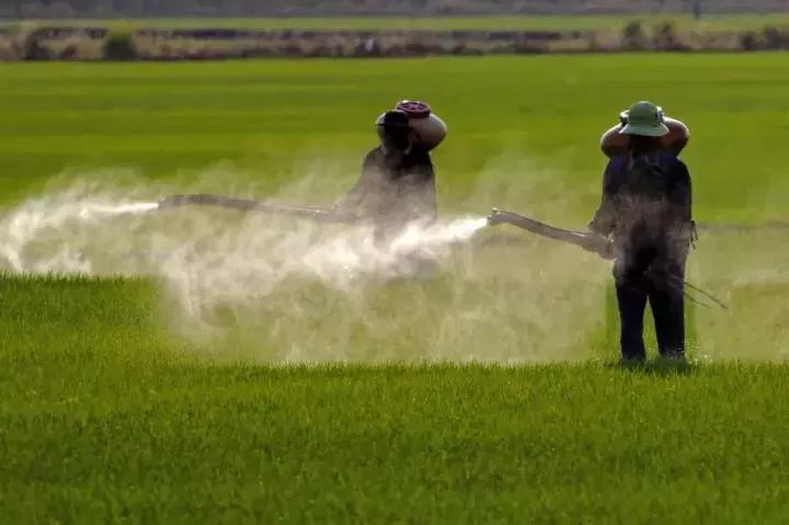 草甘膦，你欠农业一个道歉！