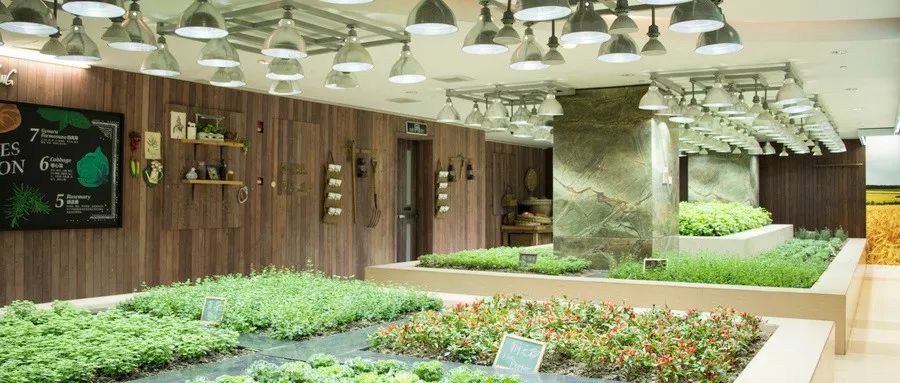 未来三年适合投资的小生意,返乡创业最难的行业有哪些