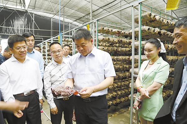 全面建设社会主义现代化的新征程,全面开启建设现代化强国的新征程