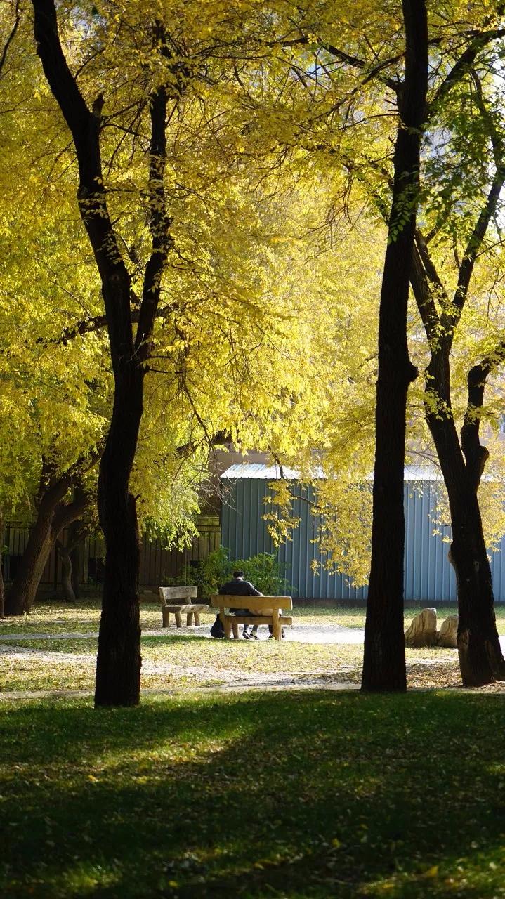 东北三省最适合宜居的城市,东北三省宜居养老城市