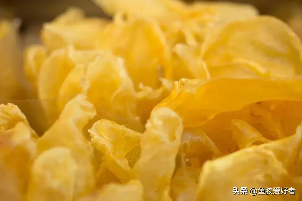 花胶怎么挑选公母,公花胶和母花胶怎样分别