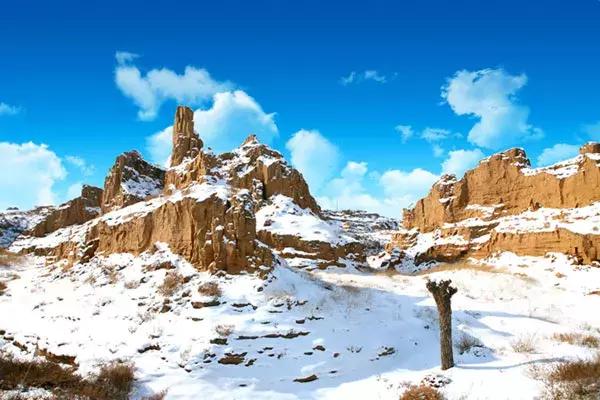 宁夏71个最美一日游打卡地,宁夏旅游一日游最佳攻略图