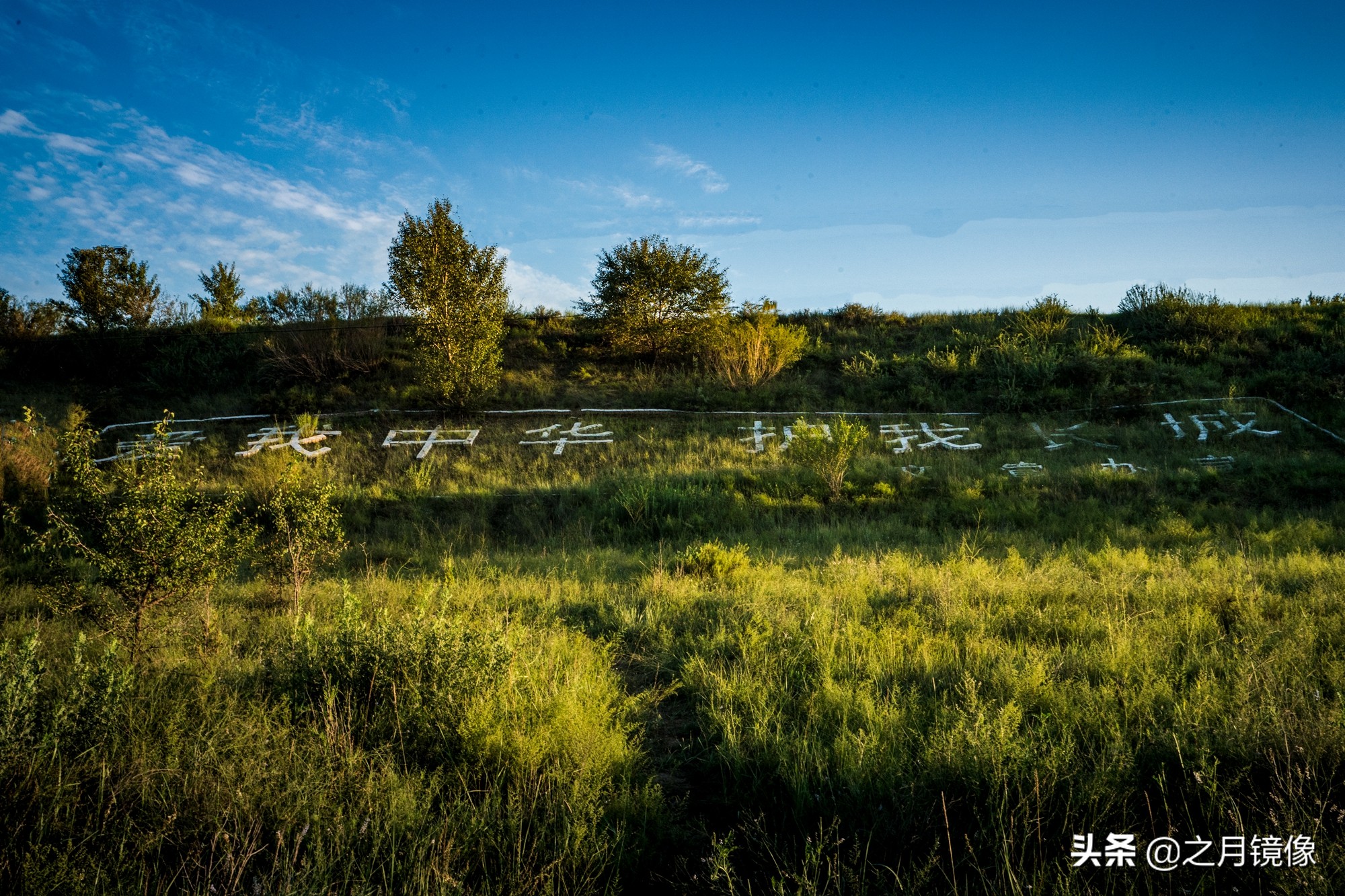 闈栬竟澶ф紶,闈栬竟澶ф紶椋庡厜