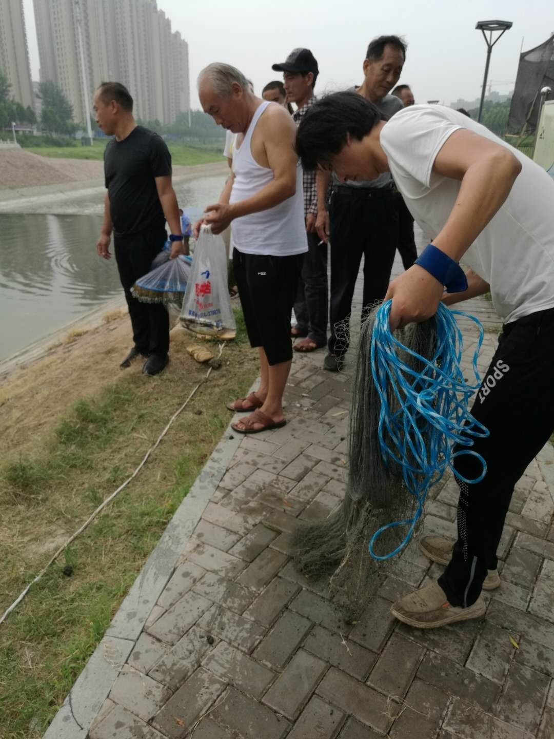 早上河道鱼浮头,河边闸门口出现大量鱼全部浮头