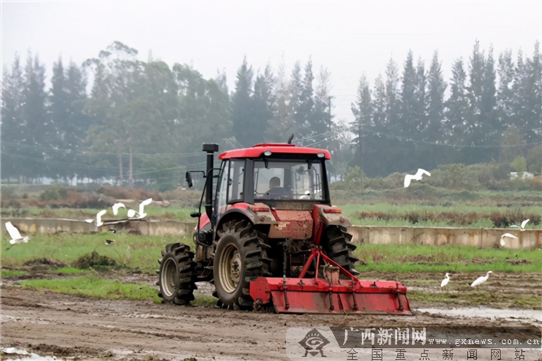 【八桂闹春耕，喜迎开门红】防城港