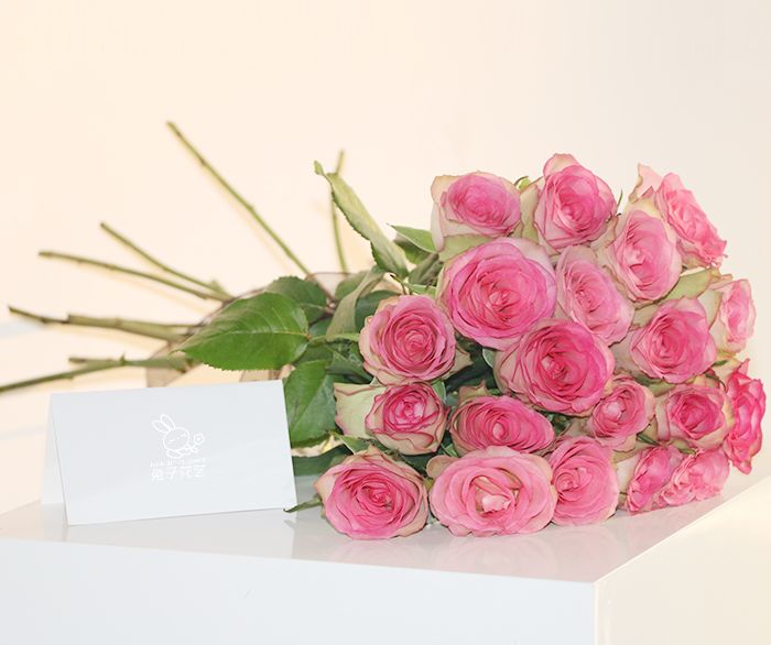 收到花有点蔫怎么处理,收到花有点干瘪醒花方法