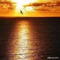 打破日本30多年技术垄断,打破日本技术