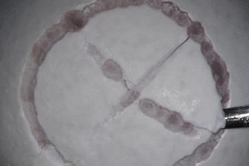 鸡蛋皮缝合手术,缝合鸡蛋膜视频教程