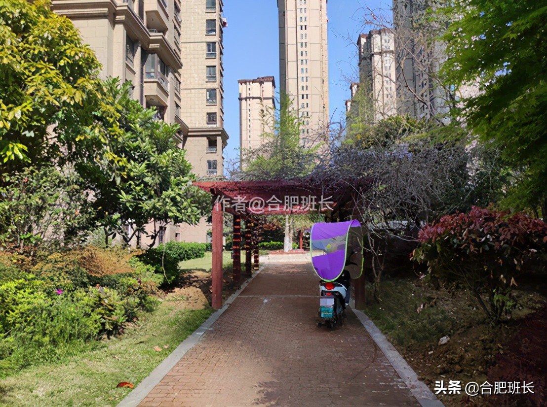 合肥滨湖新区四十六中附近,滨湖四十六中南校区有万科楼盘吗