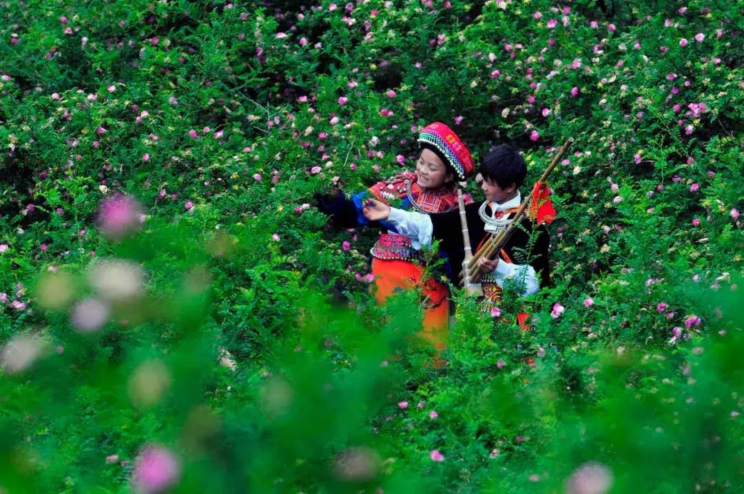 全国最宝藏的省,中国宝藏最多的省份