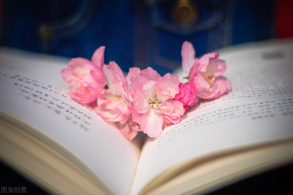 腹有诗书气自华的名句,腹有诗书气自华是谁的名言