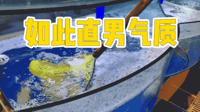 兰州好吃又实惠的海鲜,兰州值得推荐海鲜店