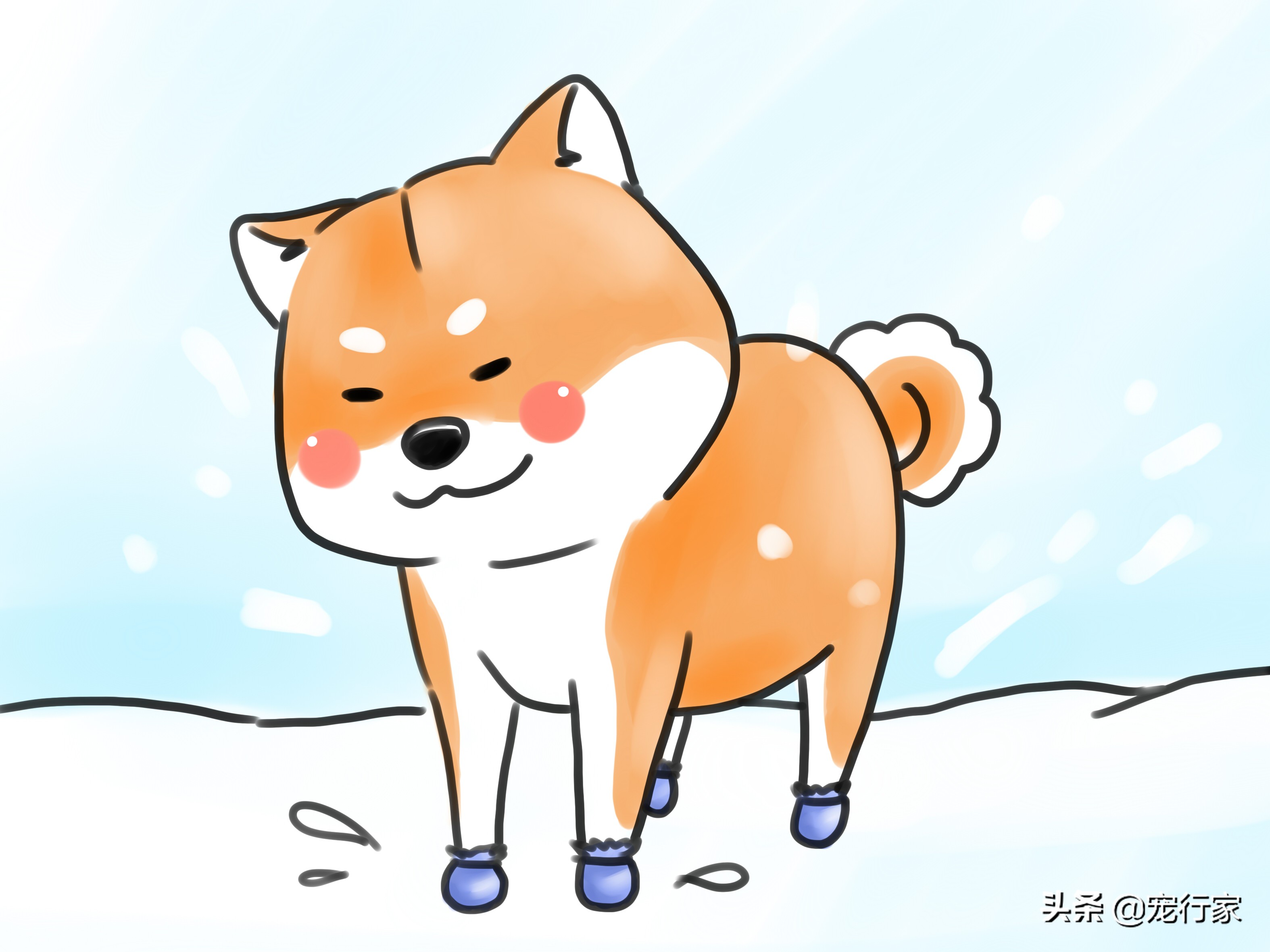 狗狗爪子出血抹什么药膏,狗狗爪子缝里发红怎么办