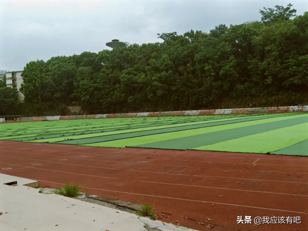 广东省梅县东山中学,广东梅县东山中学本科率