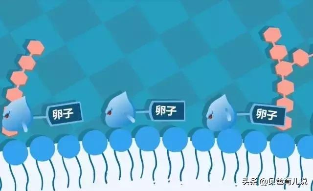 产后恢复那点事：如何判断子宫恢没恢复好？大姨妈啥时候来报道？