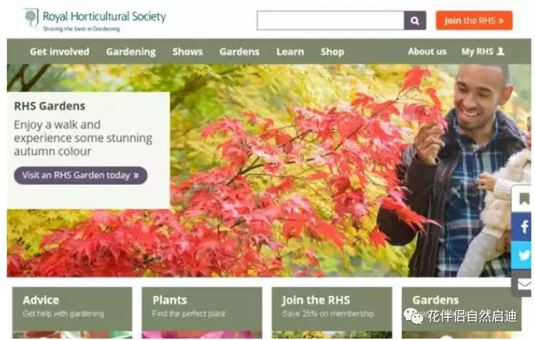 植物检索网站官网,植物检索表100种