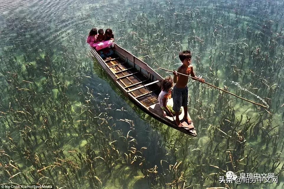 帕劳世界最美的海洋,加勒比海哪个国家景色好