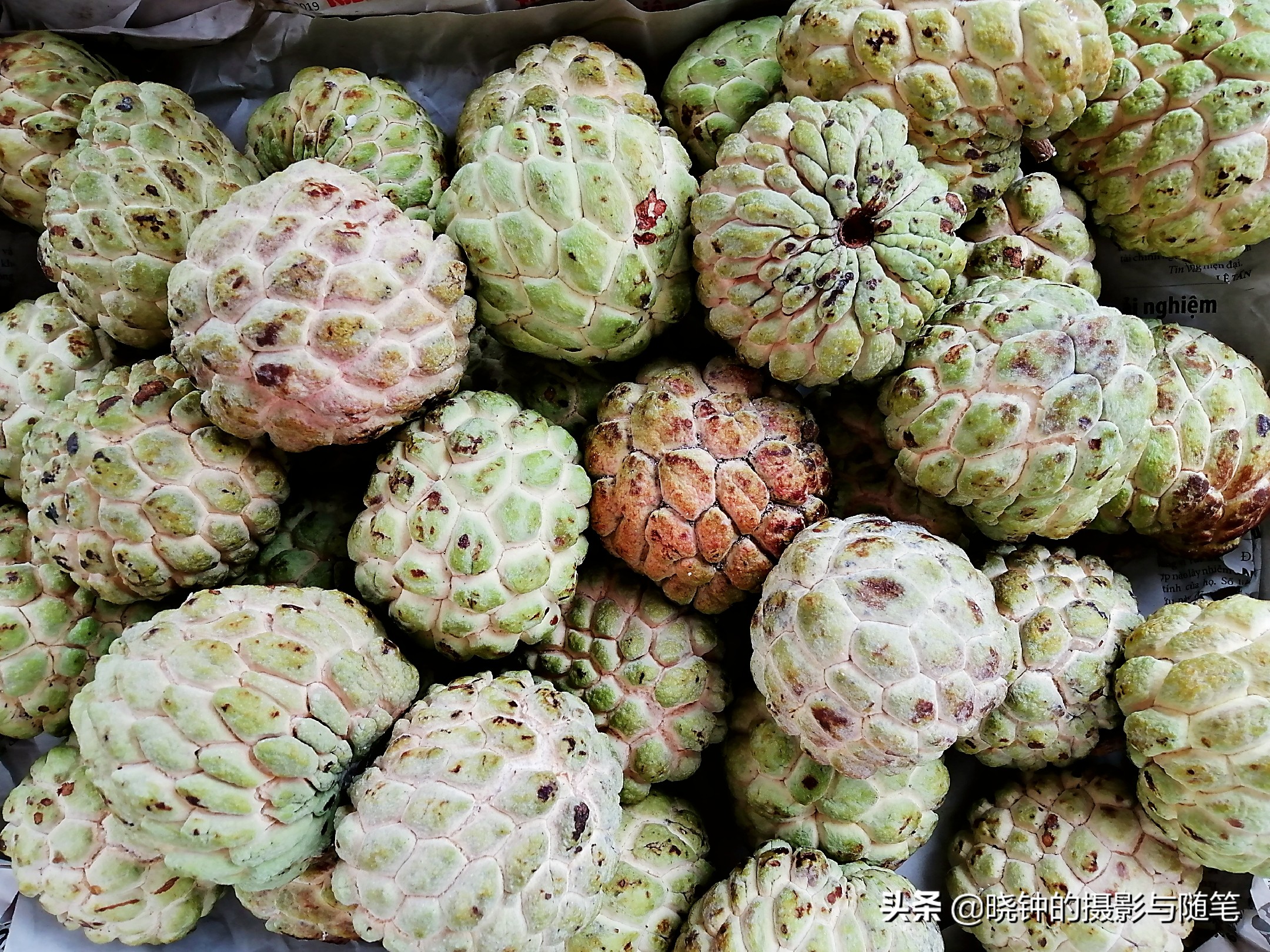 越南岘港特色水果,越南水果有什么好吃的