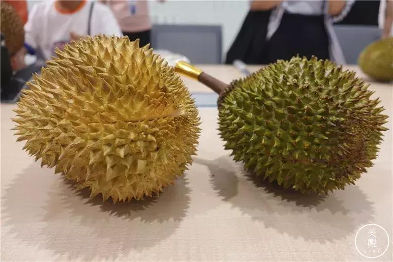 做完这期测评,朋友问我是不是吃“shi”了||美观测评