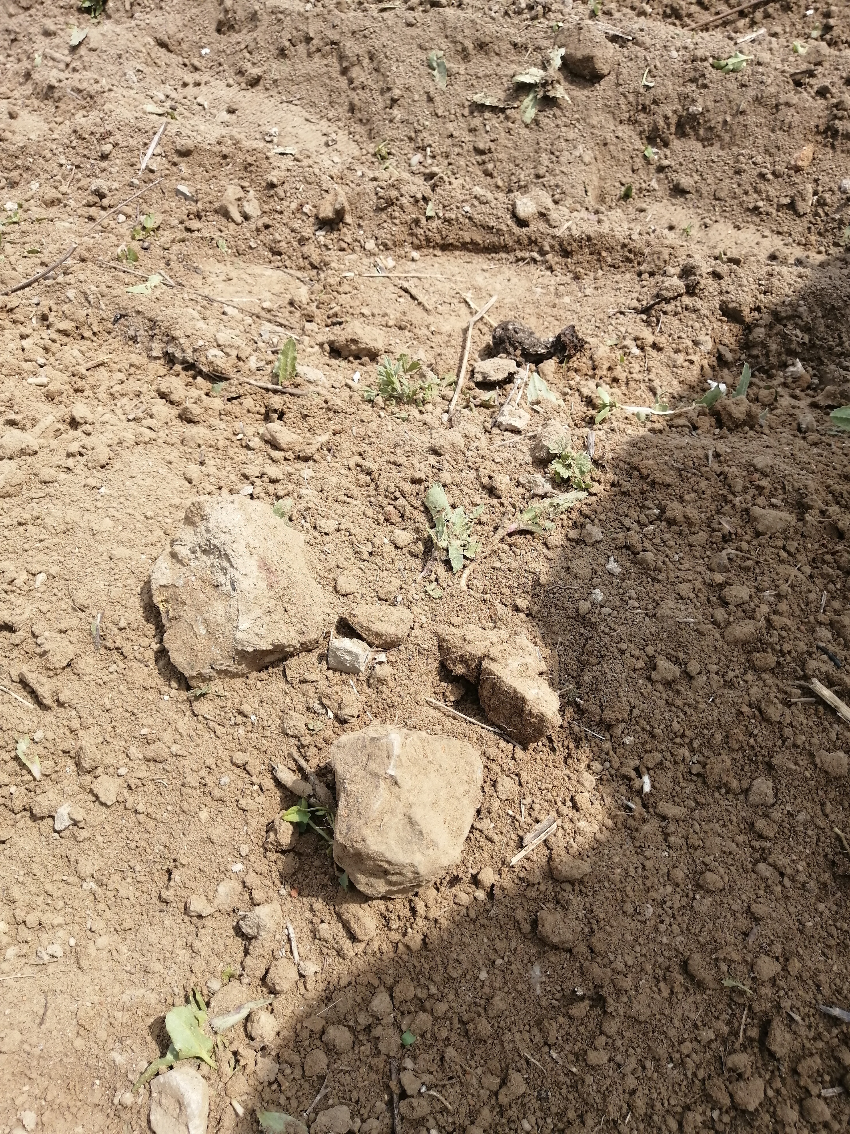 最好的割草神器电动工具,100种割草的神器