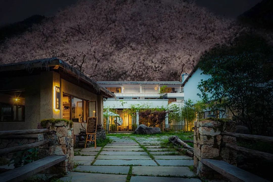 杭州大叔包下一座山谷造民宿,杭州高山樱花民宿