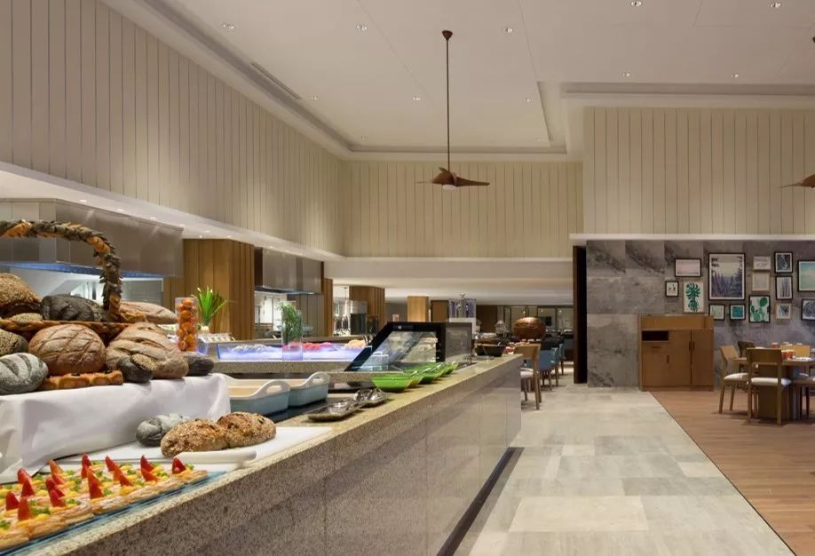 游学冬令营2024,游学冬令营活动