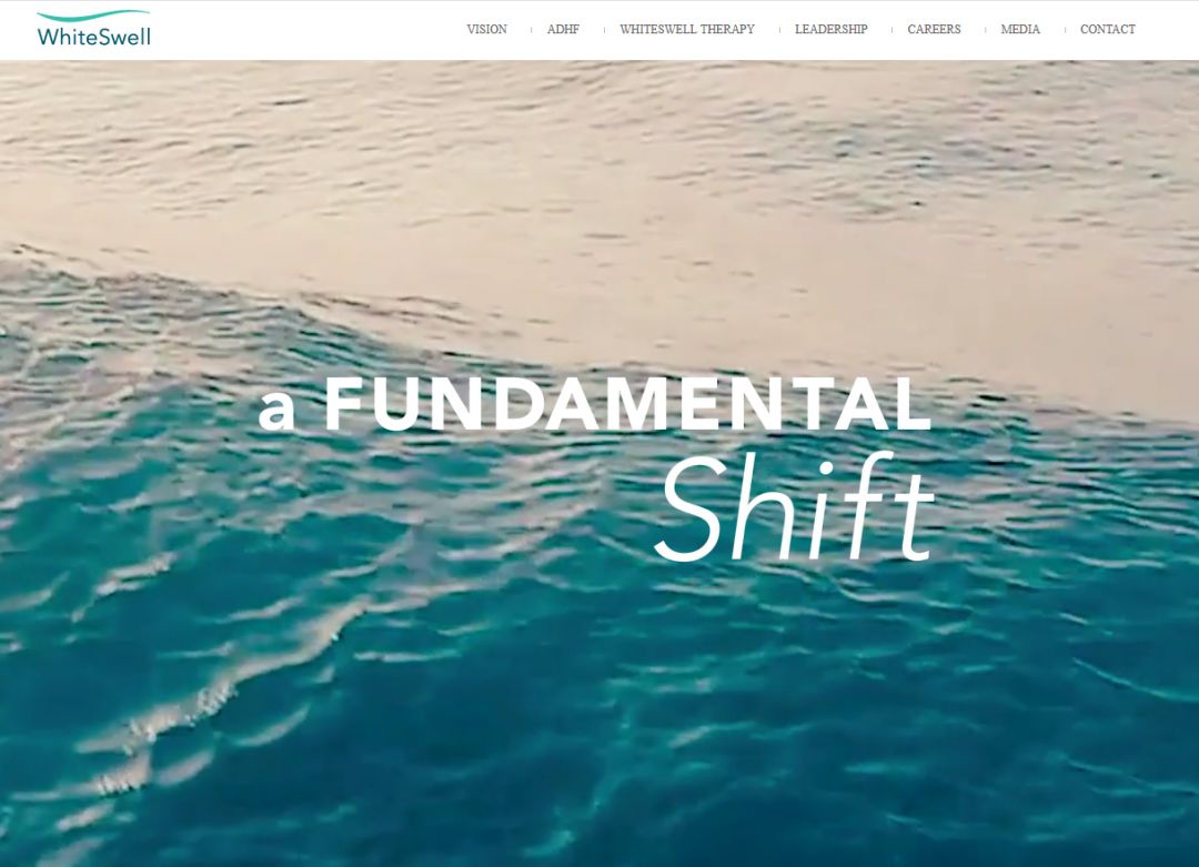 极品两声ok.vip和zb.vip超百万成交!英文米Zoom.com被终端收购!