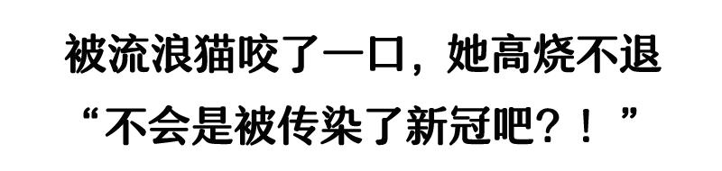 被流浪猫咬了24小时有什么事,被感染新冠的猫咬了一口