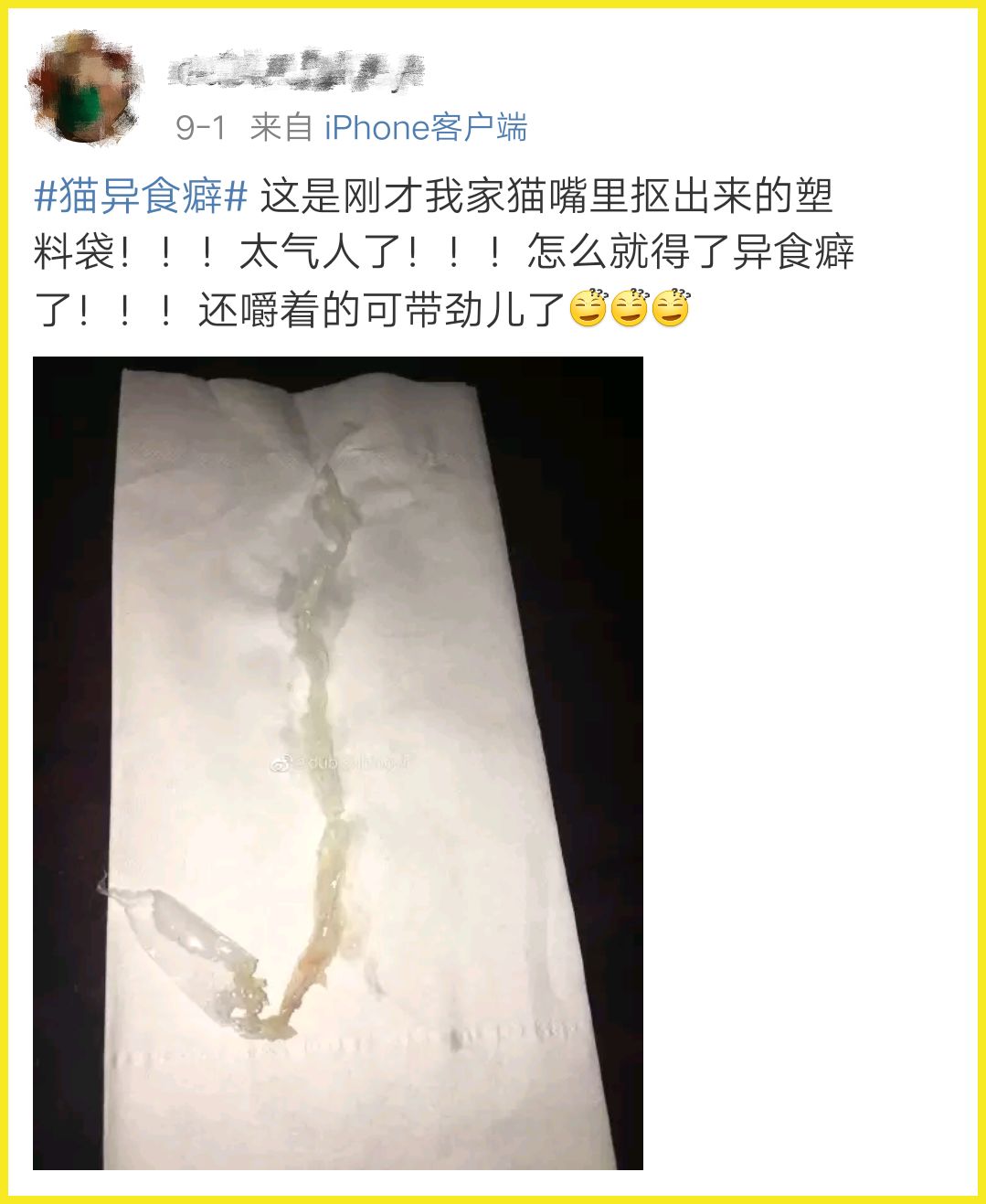 我家猫吞了根针险些丧命，这些东西千万别让猫碰