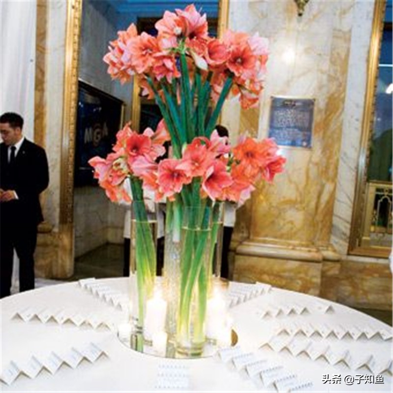 特立独行却不反感的星座女,天生傲骨不受别人控制的三大星座