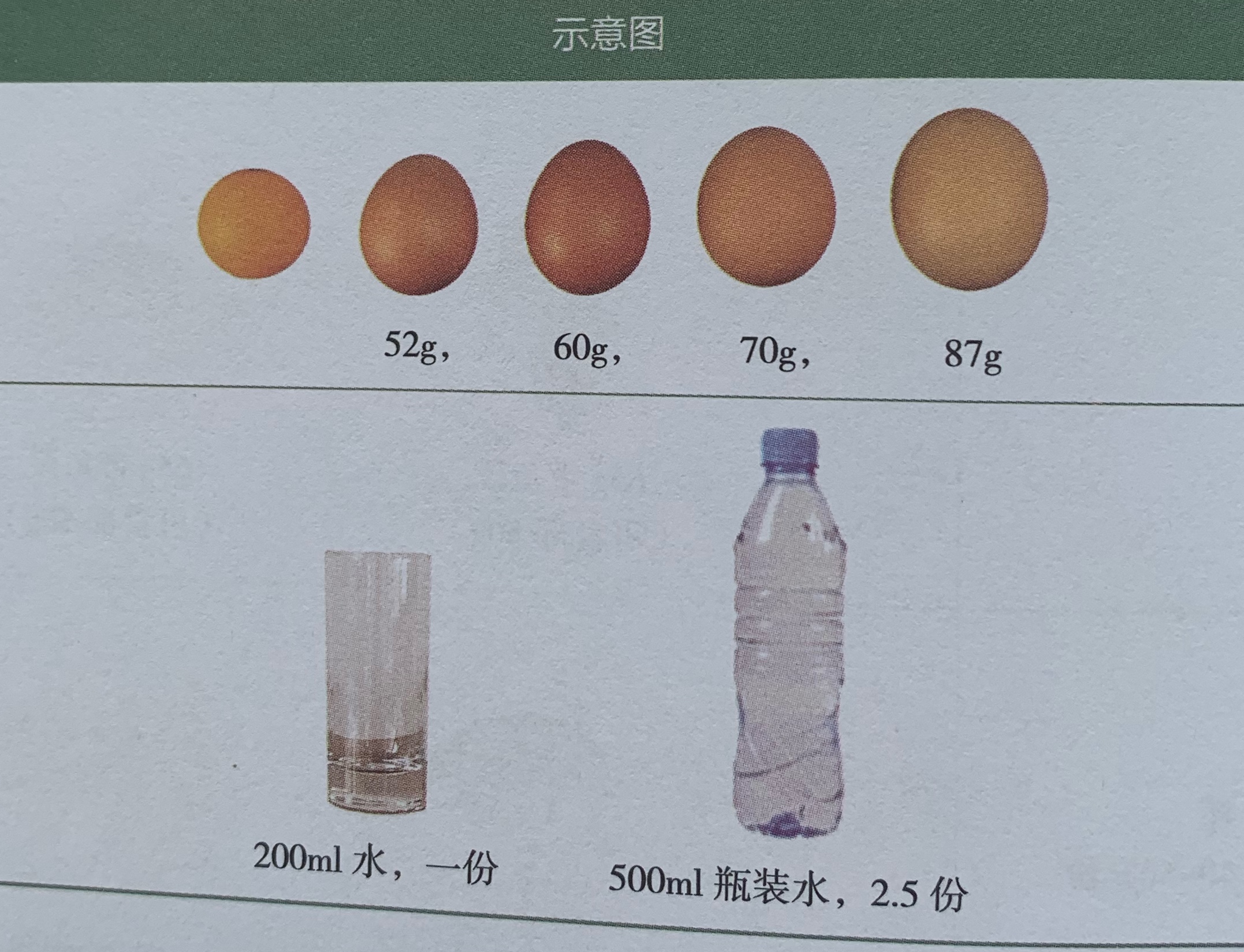 吃一斤蔬菜的量,每天1斤蔬菜吃得下吗