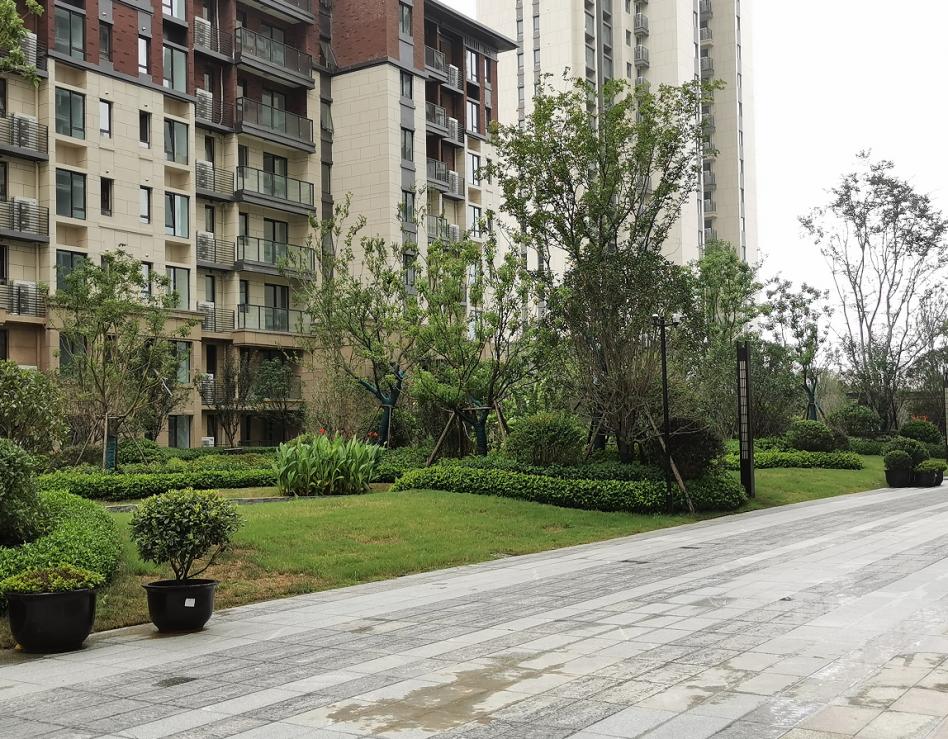 中国十大物业品牌排名,十大最强物业排名