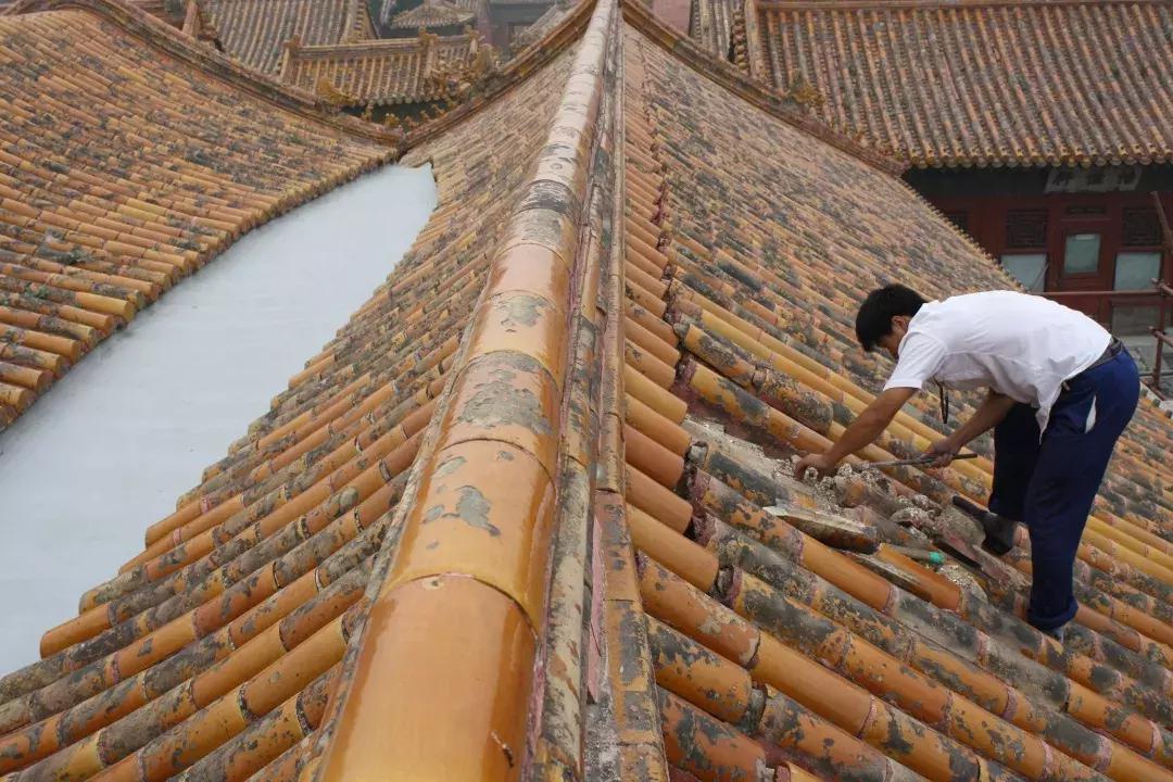 谁敢在故宫“上房揭瓦”？30年练成飞檐走壁，也只有这群大神了