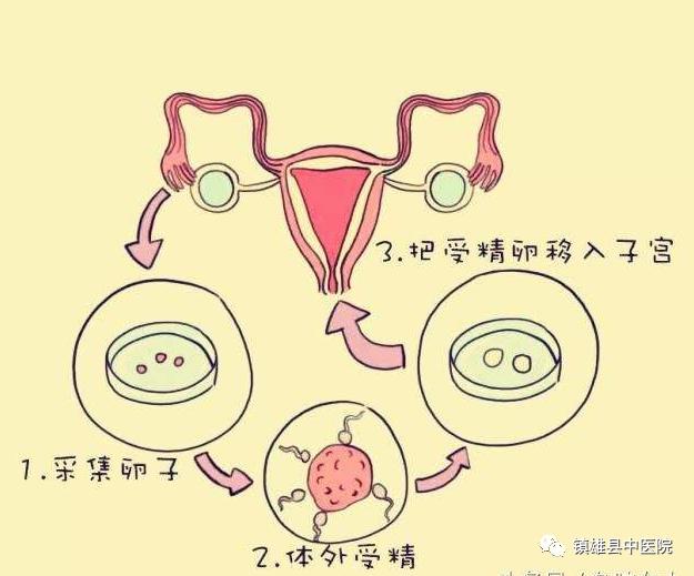 云南省医院马艳萍,马艳萍生殖医学