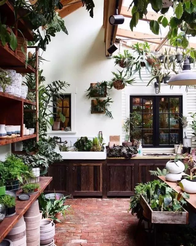 开一家植物美学小店,开一家属于自己的花店