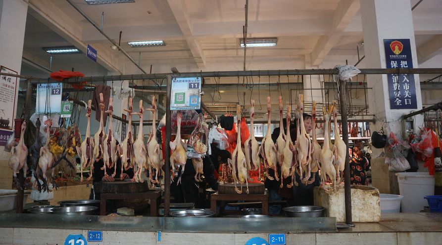 宜宾排骨,宜宾今日肉价多少元一斤