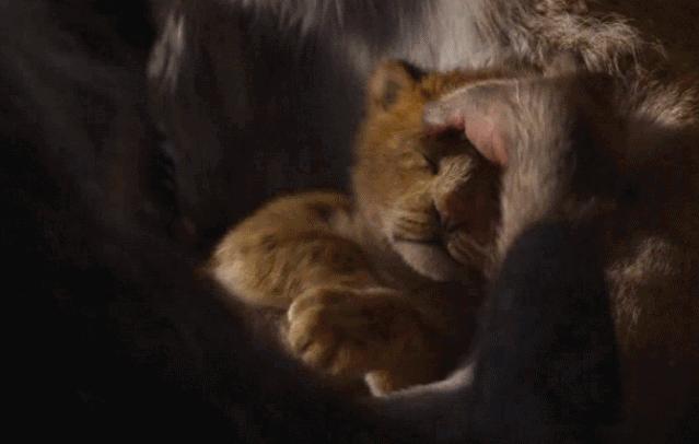 新版狮子王值得看吗,新版狮子王值得买吗