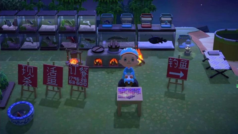 猫咪盲盒真正的猫咪,猫咪盲盒无毛猫