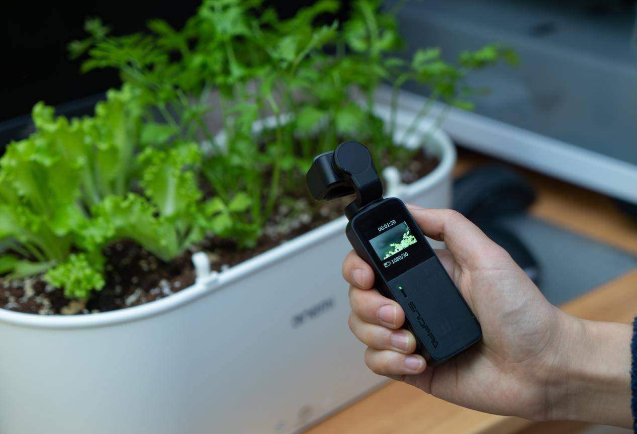 铠侠32g红卡 (铠侠sd卡32g)