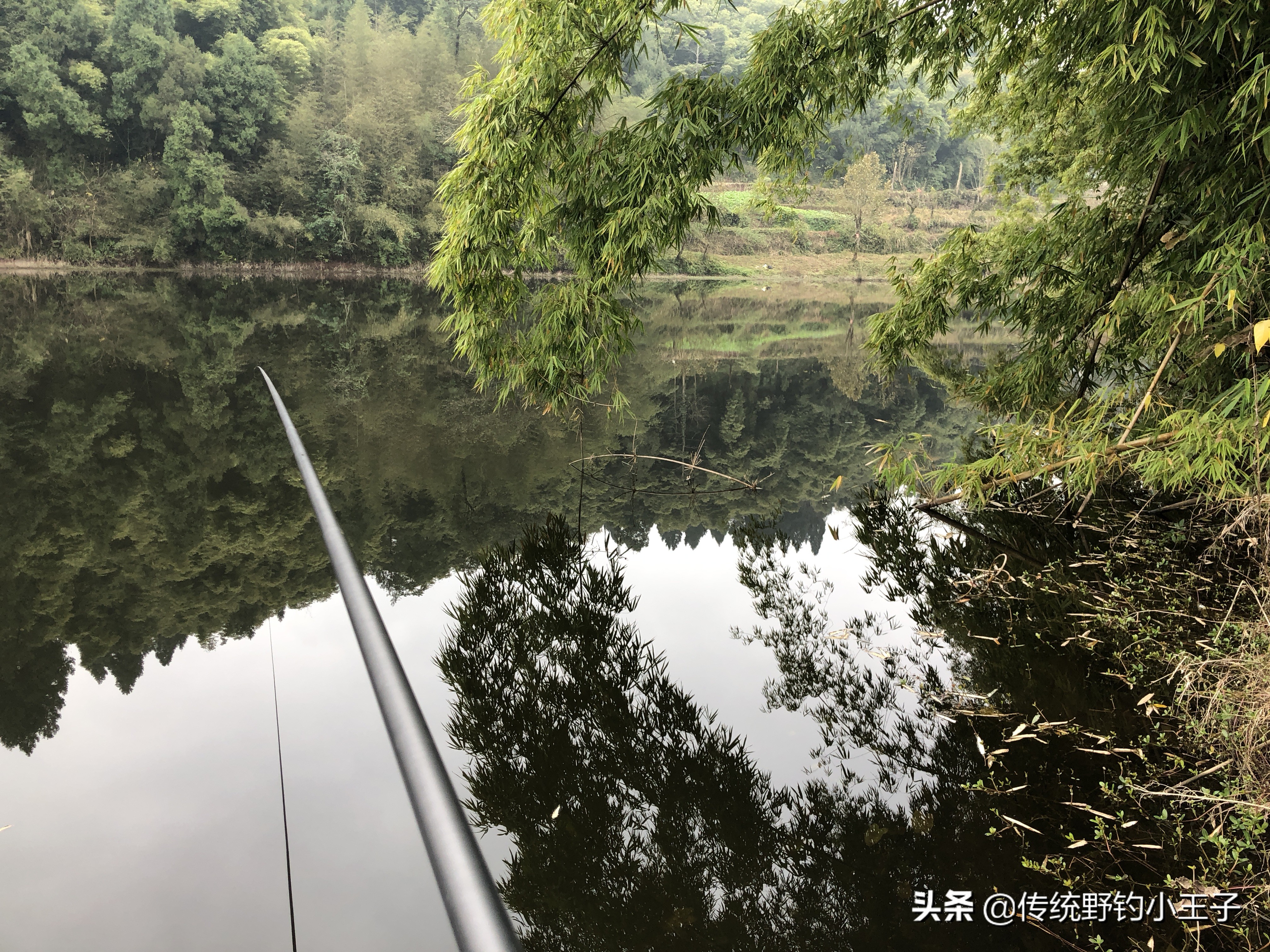 谷麦钓通线1.5和2.0对鱼口影响大吗,野钓谷麦用什么打窝比较好