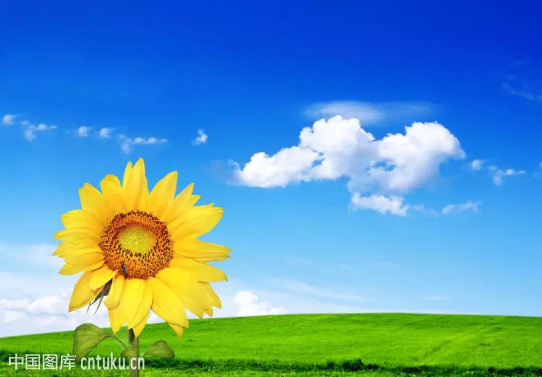 影响人一生的30篇哲理短文,影响人生的一百句名言