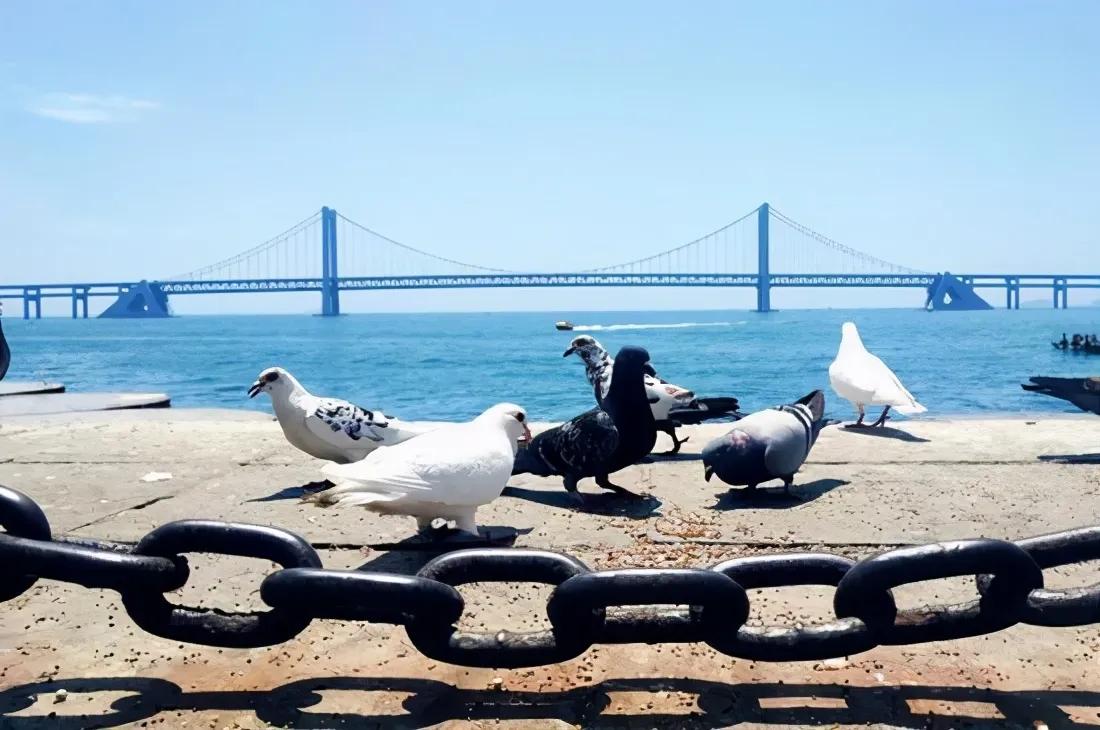 星海广场商圈评测,星海富人区