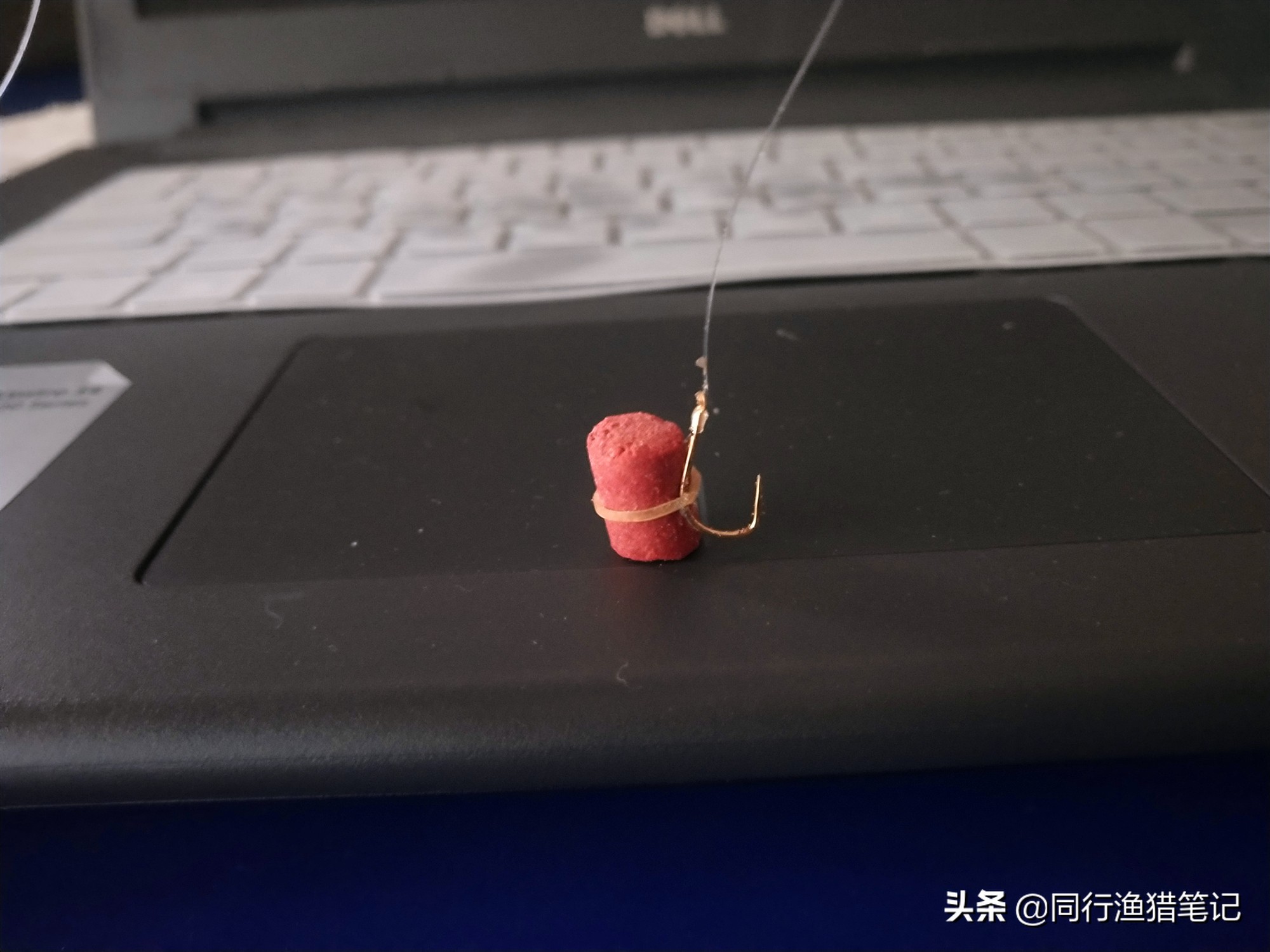 黑坑偷驴好用的饵料,黑坑偷驴时三种常用饵